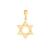 MAXX STAR OF DAVID PENDANT